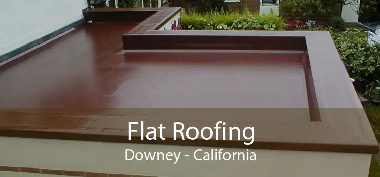 Flat Roofing Downey - California