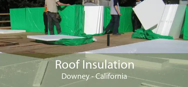 Roof Insulation Downey - California