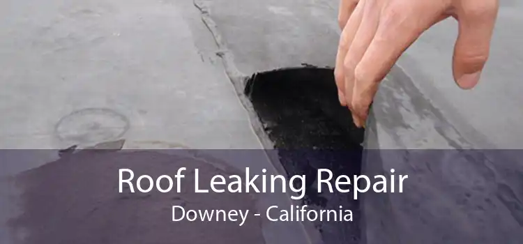 Roof Leaking Repair Downey - California