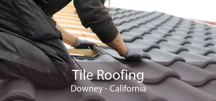 Tile Roofing Downey - California