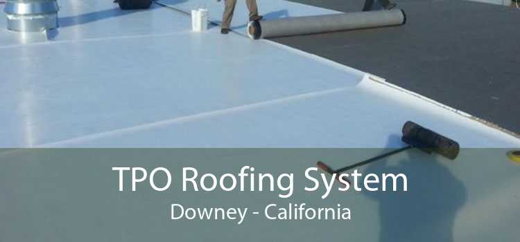 TPO Roofing System Downey - California
