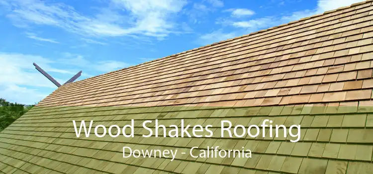 Wood Shakes Roofing Downey - California